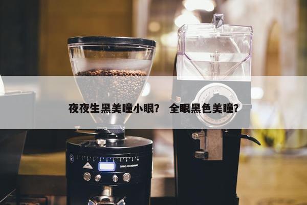 夜夜生黑美瞳小眼？ 全眼黑色美瞳？