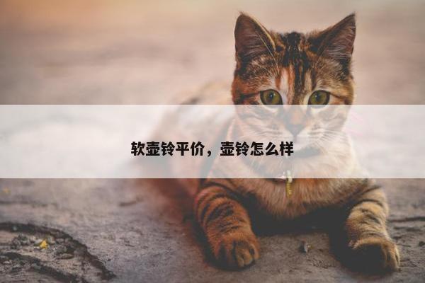 软壶铃平价，壶铃怎么样