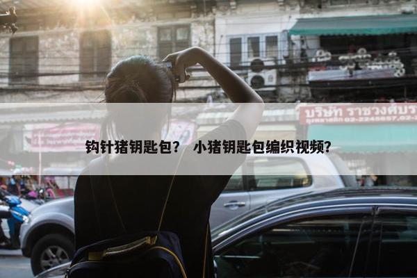 钩针猪钥匙包？ 小猪钥匙包编织视频？