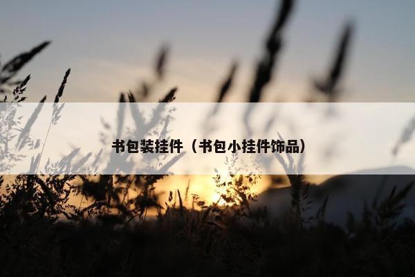 书包装挂件（书包小挂件饰品）