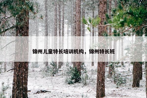 锦州儿童特长培训机构，锦州特长班