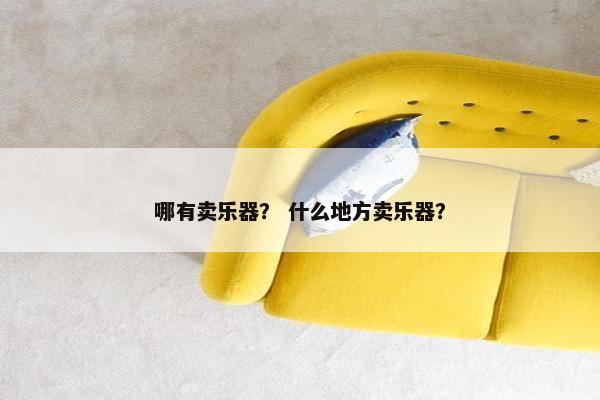 哪有卖乐器？ 什么地方卖乐器？