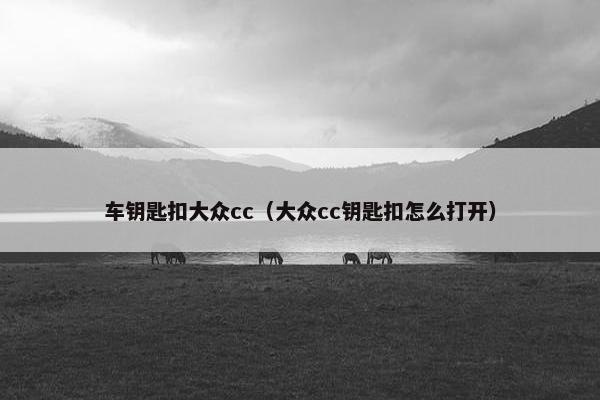 车钥匙扣大众cc（大众cc钥匙扣怎么打开）