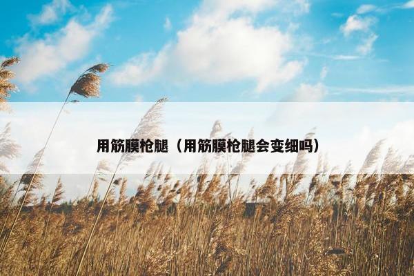 用筋膜枪腿（用筋膜枪腿会变细吗）