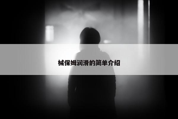 械保姆润滑的简单介绍