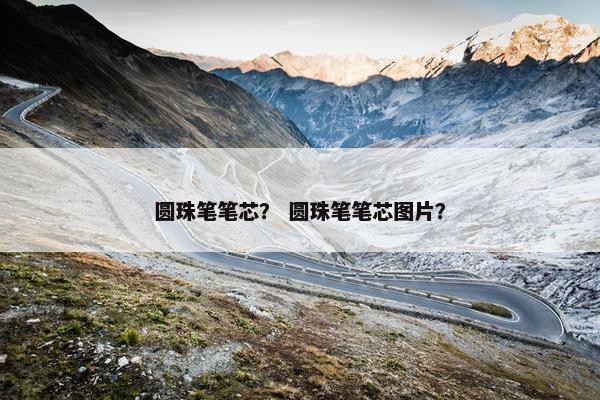 圆珠笔笔芯？ 圆珠笔笔芯图片？