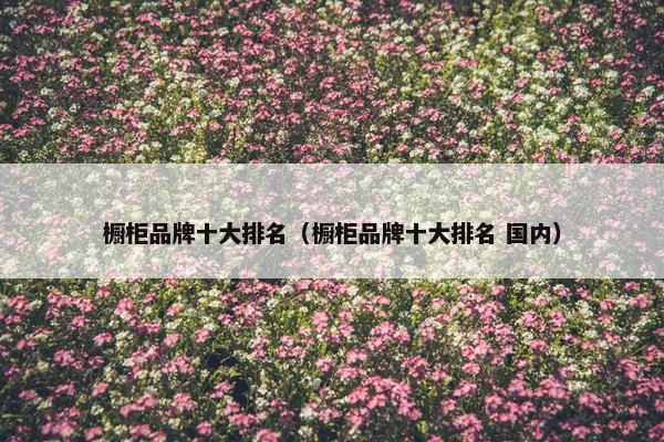 橱柜品牌十大排名（橱柜品牌十大排名 国内）