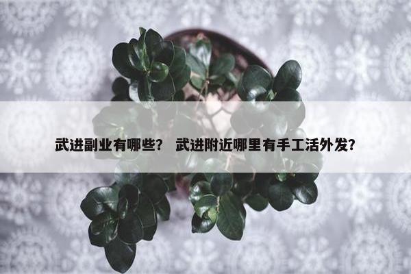 武进副业有哪些？ 武进附近哪里有手工活外发？