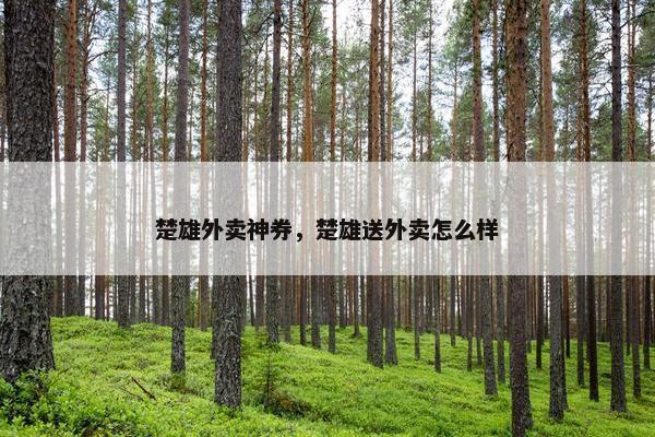 楚雄外卖神券，楚雄送外卖怎么样
