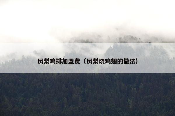凤梨鸡排加盟费（凤梨烧鸡翅的做法）