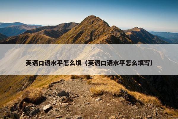 英语口语水平怎么填（英语口语水平怎么填写）