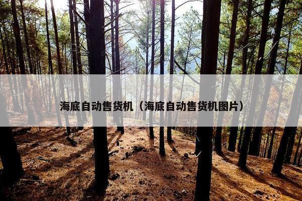 海底自动售货机（海底自动售货机图片）