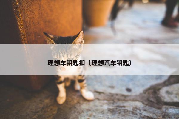 理想车钥匙扣（理想汽车钥匙）