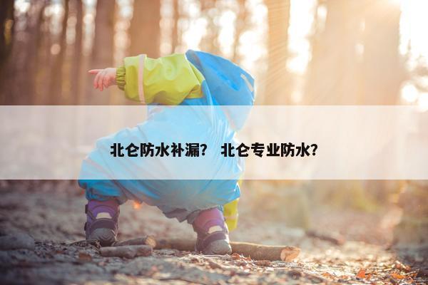 北仑防水补漏？ 北仑专业防水？