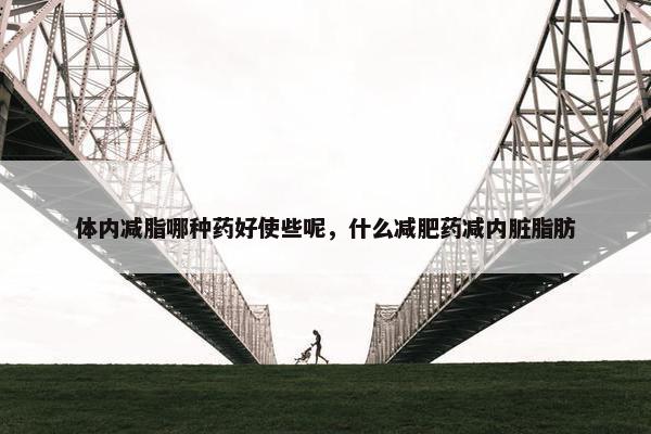 体内减脂哪种药好使些呢，什么减肥药减内脏脂肪