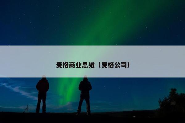麦格商业思维（麦格公司）