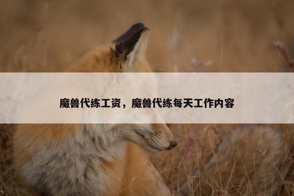 魔兽代练工资，魔兽代练每天工作内容