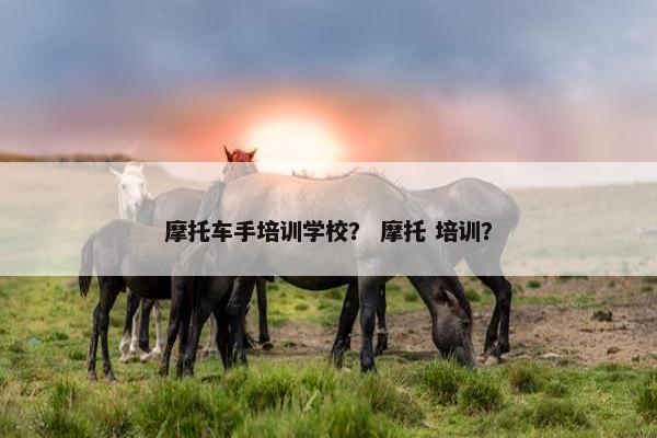 摩托车手培训学校？ 摩托 培训？