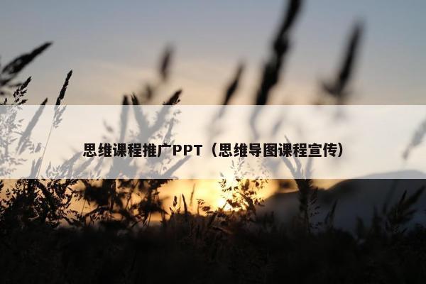 思维课程推广PPT（思维导图课程宣传）