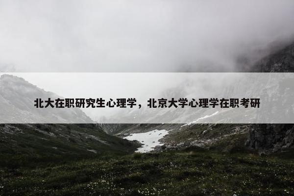 北大在职研究生心理学，北京大学心理学在职考研