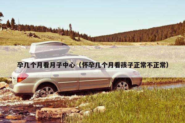 孕几个月看月子中心（怀孕几个月看孩子正常不正常）