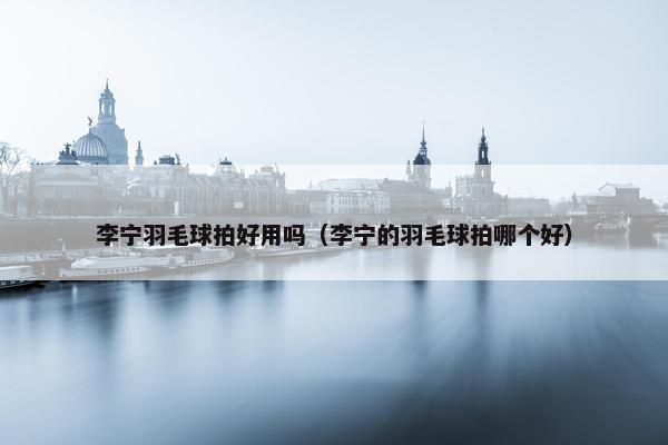 李宁羽毛球拍好用吗（李宁的羽毛球拍哪个好）