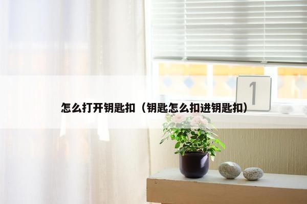 怎么打开钥匙扣（钥匙怎么扣进钥匙扣）