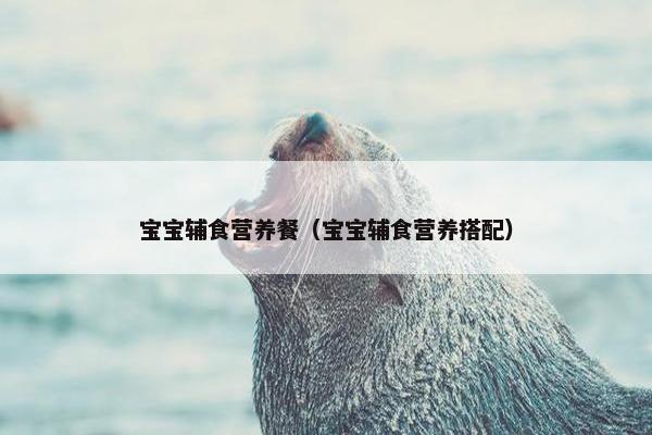 宝宝辅食营养餐（宝宝辅食营养搭配）