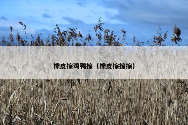 橡皮擦鸡鸭擦（橡皮擦擦擦）