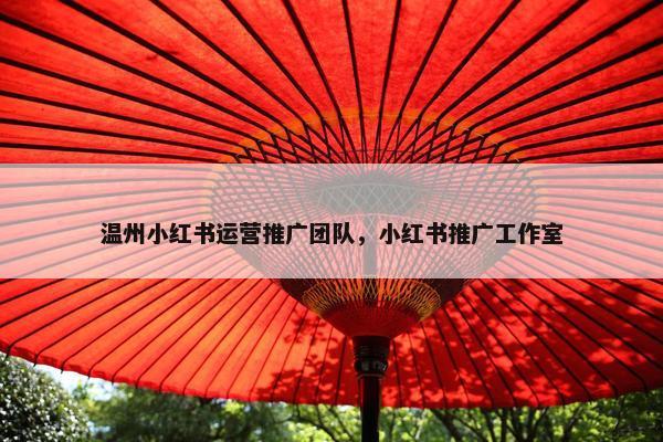 温州小红书运营推广团队，小红书推广工作室
