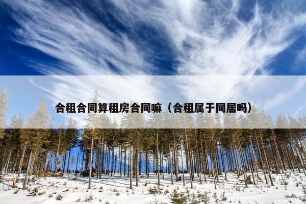 合租合同算租房合同嘛（合租属于同居吗）
