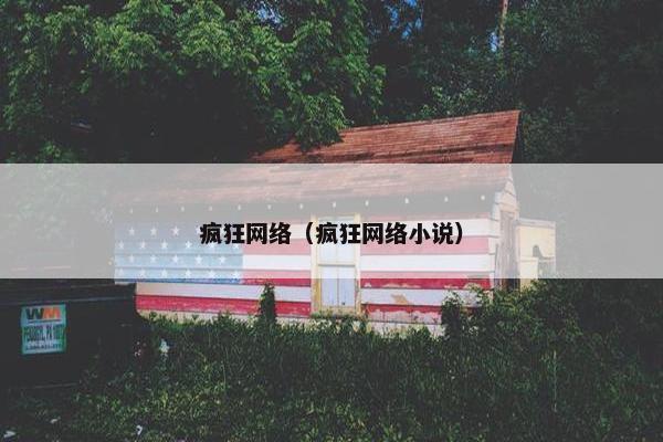 疯狂网络（疯狂网络小说）