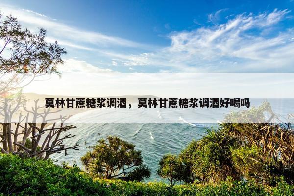 莫林甘蔗糖浆调酒，莫林甘蔗糖浆调酒好喝吗