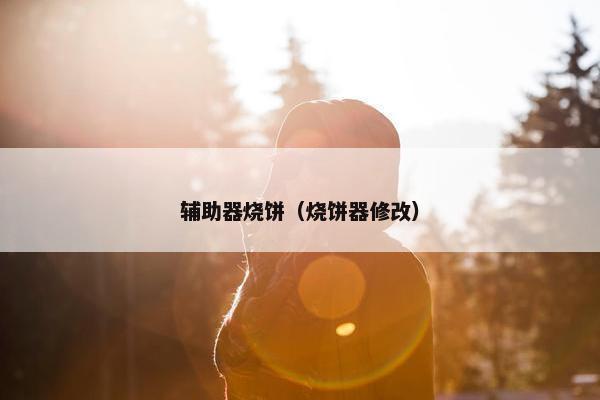 辅助器烧饼（烧饼器修改）