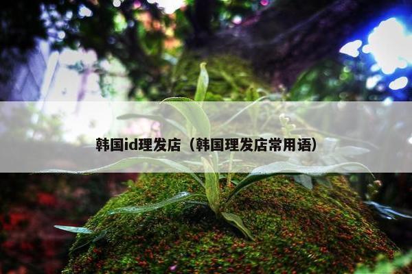 韩国id理发店（韩国理发店常用语）