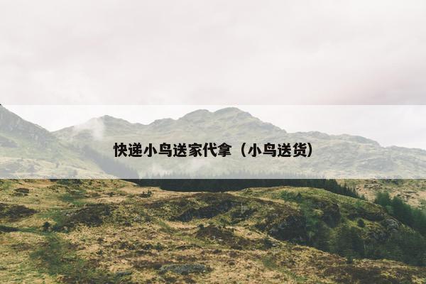 快递小鸟送家代拿（小鸟送货）