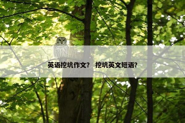 英语挖坑作文？ 挖坑英文短语？