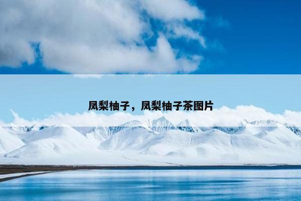 凤梨柚子，凤梨柚子茶图片
