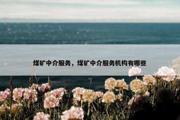 煤矿中介服务，煤矿中介服务机构有哪些
