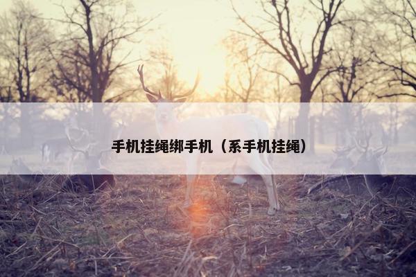 手机挂绳绑手机（系手机挂绳）