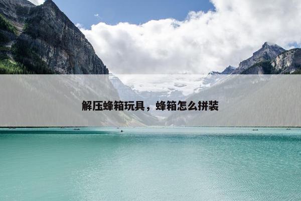 解压蜂箱玩具，蜂箱怎么拼装