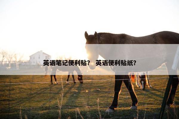 英语笔记便利贴？ 英语便利贴纸？