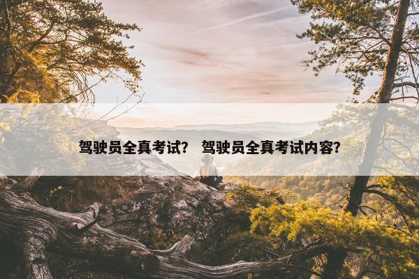 驾驶员全真考试？ 驾驶员全真考试内容？