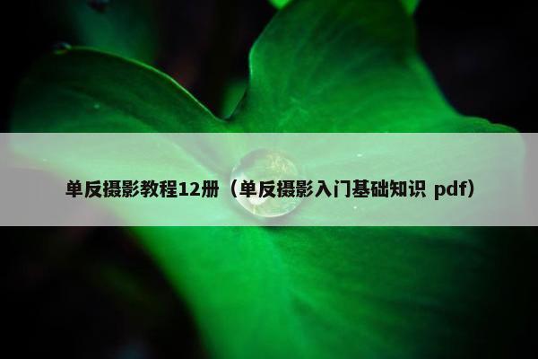 单反摄影教程12册（单反摄影入门基础知识 pdf）