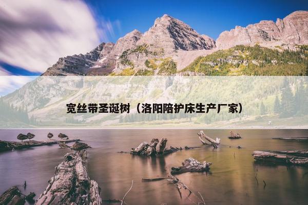 宽丝带圣诞树（洛阳陪护床生产厂家）