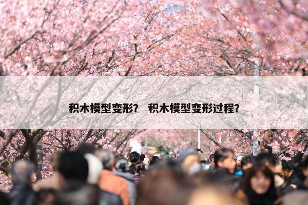积木模型变形？ 积木模型变形过程？