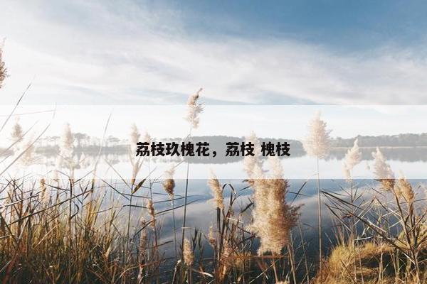 荔枝玖槐花，荔枝 槐枝
