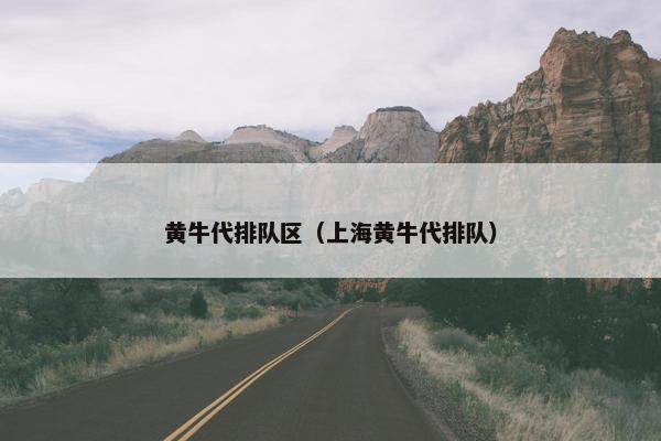 黄牛代排队区（上海黄牛代排队）