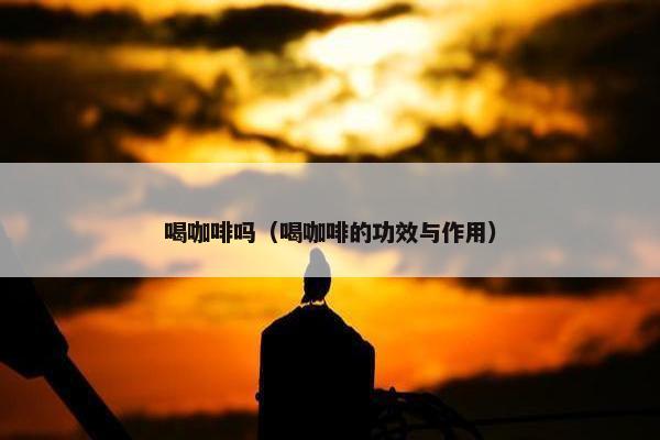 喝咖啡吗（喝咖啡的功效与作用）