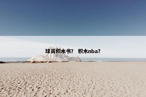 球员积木书？ 积木nba？